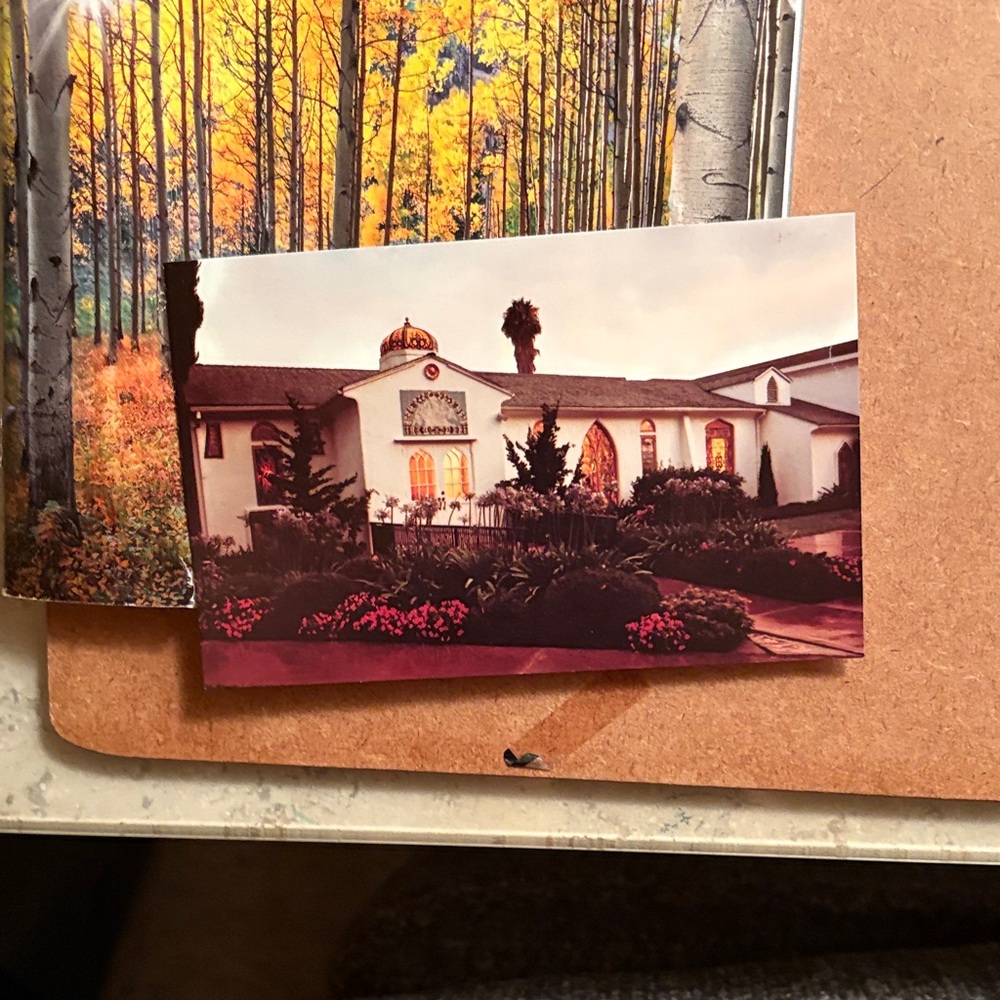 VINTAGE SPIRITUAL ART! SRF Magazine & Post Card - Picture 4 of 9